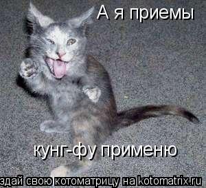 А я приемы кунг-фу применю... Котоматрица: А я приемы кунг-фу применю