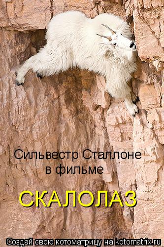 Котоматрица: Сильвестр Сталлоне в фильме СКАЛОЛАЗ