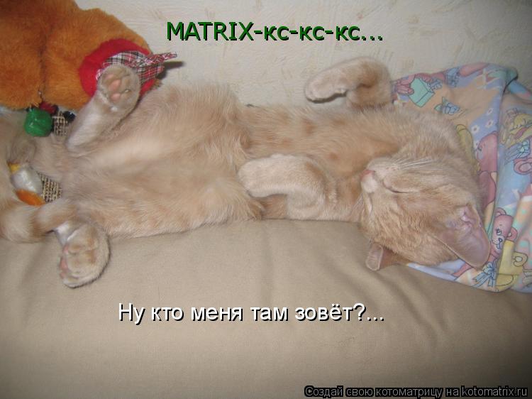 Котоматрица: MATRIX-кс-кс-кс... Ну кто меня там зовёт?...