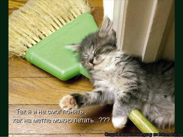 Так я и не смог понять , как на метле можно летать...???... Котоматрица: Так я и не смог понять , как на метле можно летать...???