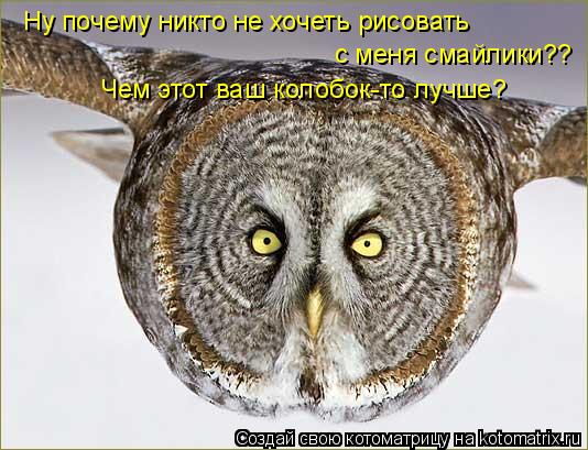 Котоматрица: Ну почему никто не хочеть рисовать  с меня смайлики?? Чем этот ваш колобок-то лучше?