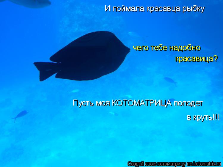Котоматрица: И поймала красавца рыбку чего тебе надобно  красавица? Пусть моя КОТОМАТРИЦА поподет  в круть!!!