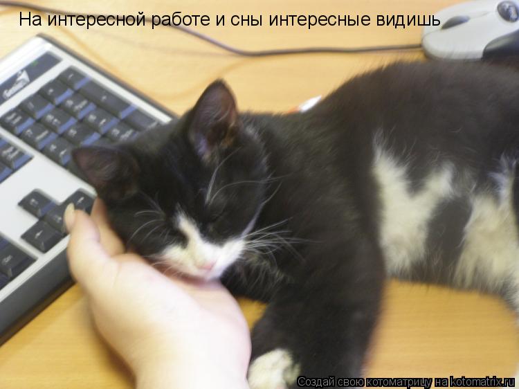 Hа интересной работе и сны интересные видишь... Котоматрица: Hа интересной работе и сны интересные видишь