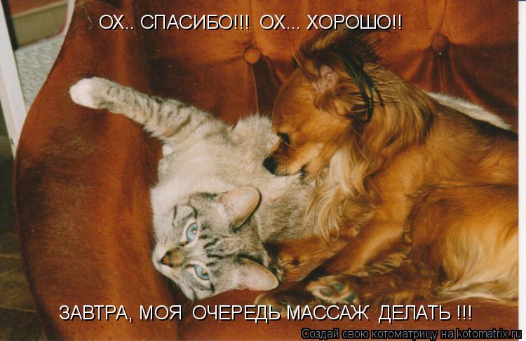 Котоматрица: ОХ.. СПАСИБО!!!  ОХ... ХОРОШО!!    ЗАВТРА, МОЯ  ОЧЕРЕДЬ МАССАЖ  ДЕЛАТЬ !!!