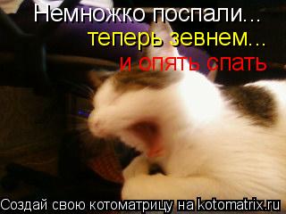 Котоматрица: Немножко поспали... теперь зевнем... и опять спать