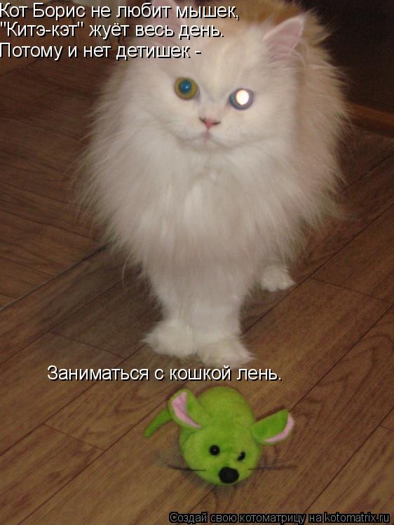 Котоматрица: Кот Борис не любит мышек, "Китэ-кэт" жуёт весь день. Потому и нет детишек - Заниматься с кошкой лень.