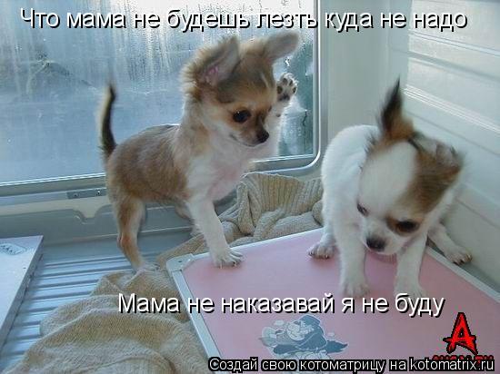 Мама не наказавай я не буду Что мама не будешь лезть куда не надо... Котоматрица: Мама не наказавай я не буду Что мама не будешь лезть куда не надо