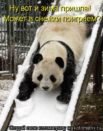 Котоматрица: Ну вот и зима пришла! Может в снежки поиграем?