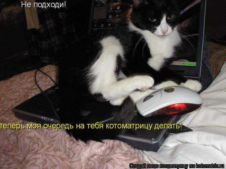 Котоматрица: Не подходи! теперь моя очередь на тебя котоматрицу делать!