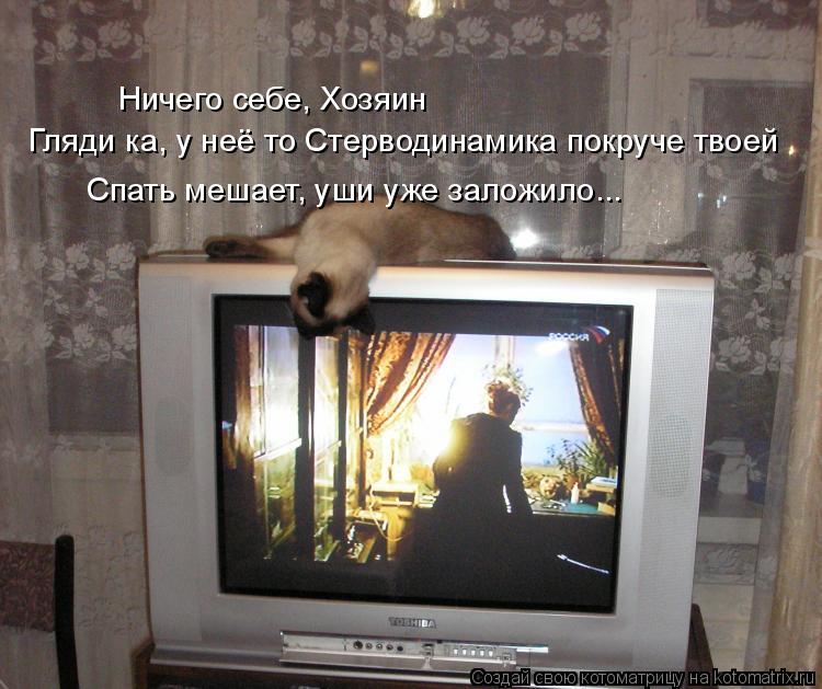 Ничего себе, Хозяин Гляди ка, у неё то Стерводинамика покруче твоей Спать мешает, уши уже заложило...... Котоматрица: Ничего себе, Хозяин Гляди ка, у неё то Стерводинамика покруче твоей Спать мешает, уши уже заложило...