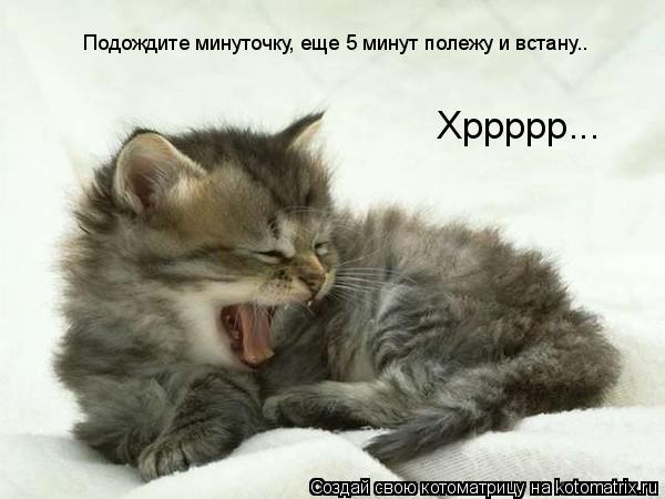 Котоматрица: Подождите минуточку, еще 5 минут полежу и встану.. Хррррр...