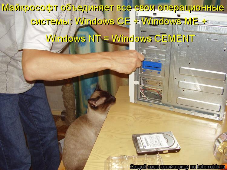 Котоматрица: Майкрософт объединяет все свои операционные  системы: Windows CE + Windows ME +  Windows NT = Windows CEMENT
