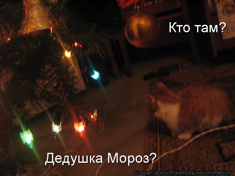 Котоматрица: Кто там? Дедушка Мороз?