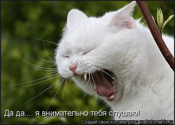Котоматрица: Да да.... я внимательно тебя слушаю!