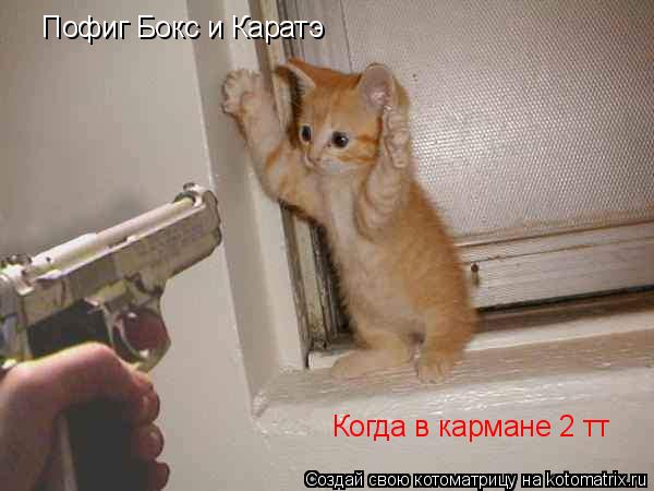 Котоматрица: Пофиг Бокс и Каратэ Когда в кармане 2 тт