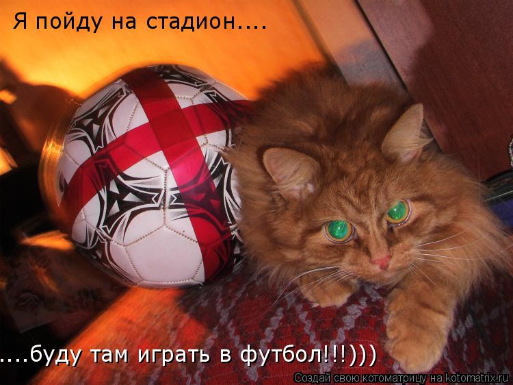 Котоматрица: Я пойду на стадион.... ....буду там играть в футбол!!!)))