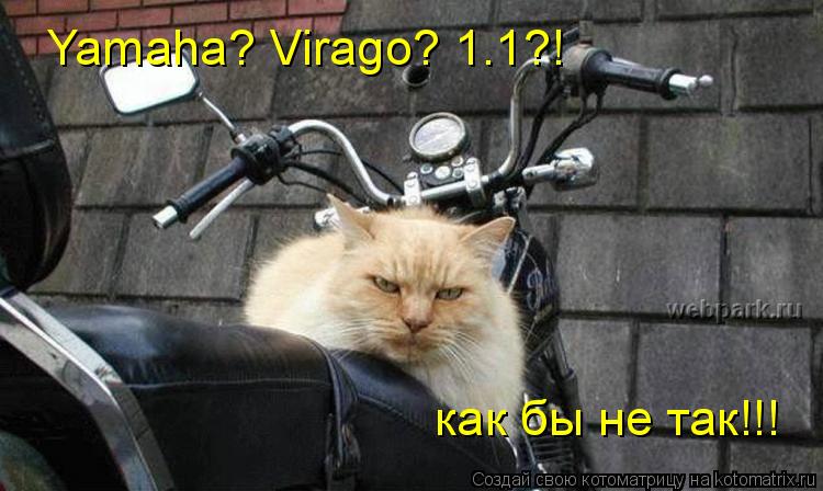 Yamaha? Virago? 1.1?! как бы не так!!!... Котоматрица: Yamaha? Virago? 1.1?! как бы не так!!!