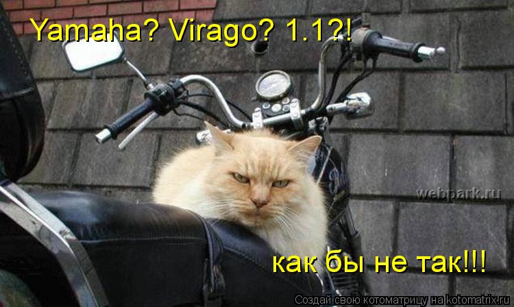 Котоматрица: Yamaha? Virago? 1.1?! как бы не так!!!