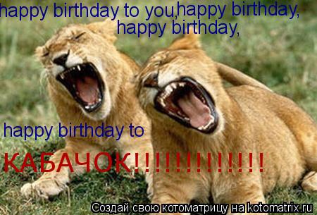Котоматрица: happy birthday to you, happy birthday, happy birthday, happy birthday to  КАБАЧОК!!!!!!!!!!!!!