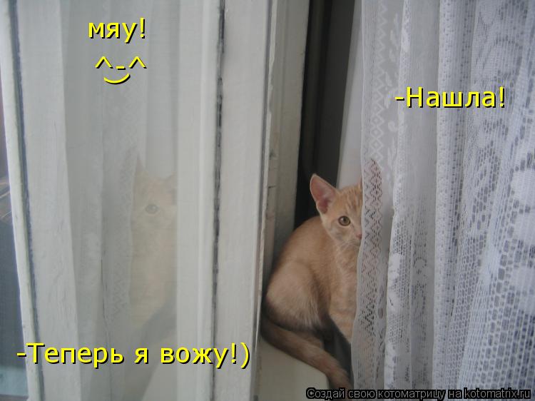 Котоматрица: -Нашла! -Теперь я вожу!) ^-^ мяу! )
