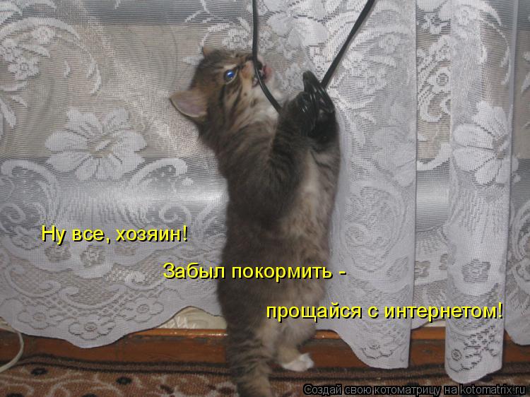Котоматрица: Ну все, хозяин!  Забыл покормить -  прощайся с интернетом!