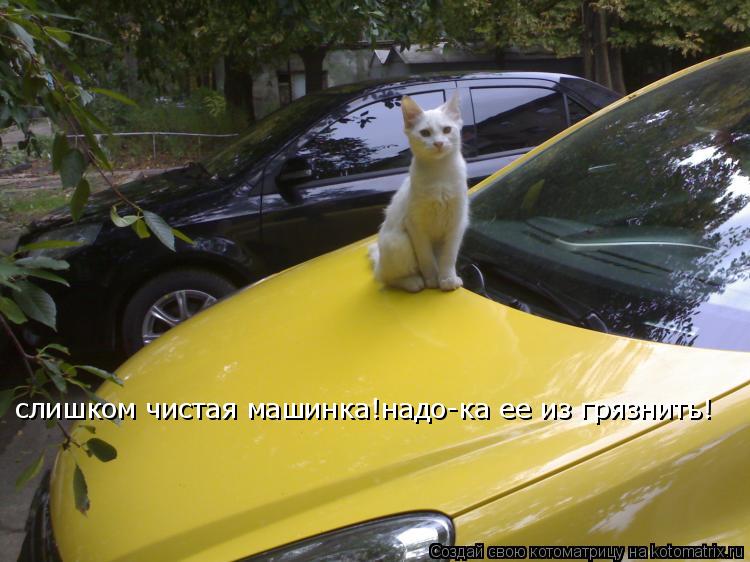 Котоматрица: слишком чистая машинка!надо-ка ее из грязнить!