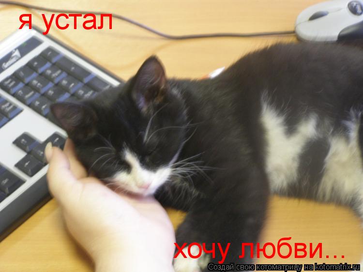 Котоматрица: я устал  хочу любви...