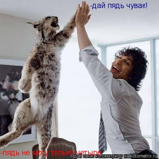 -пядь не могу только четыре -дай пядь чувак!... Котоматрица: -пядь не могу только четыре -дай пядь чувак!