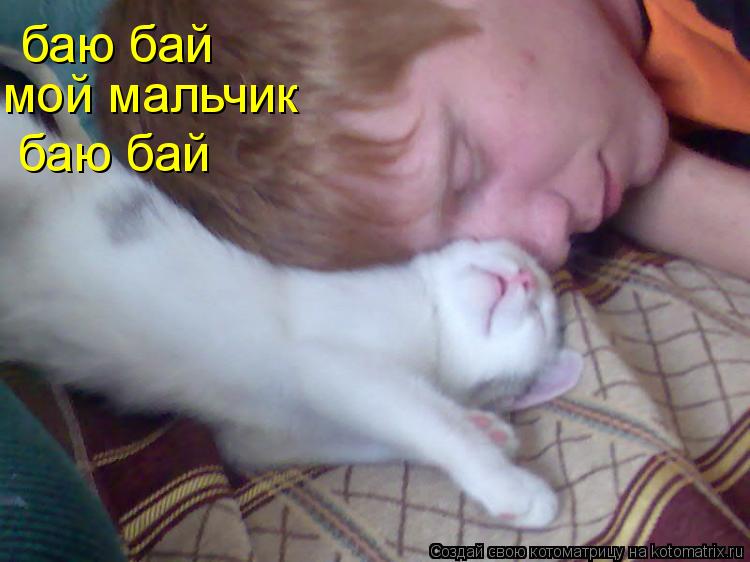 Котоматрица: баю бай мой мальчик баю бай