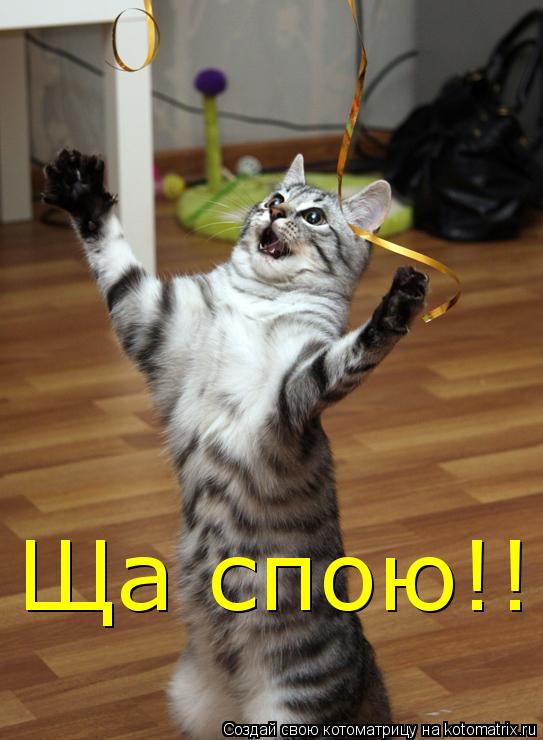 Котоматрица: Ща спою!!