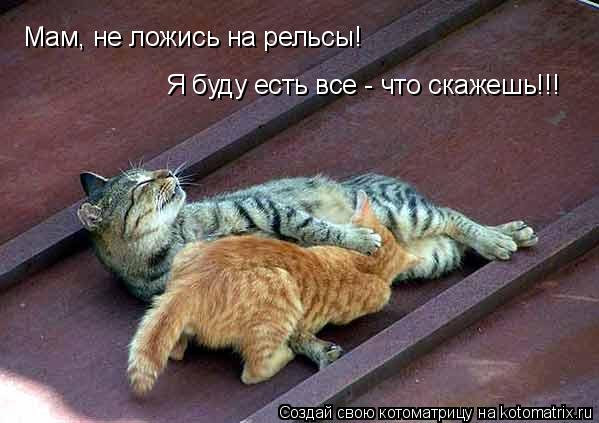 Котоматрица: Мам, не ложись на рельсы! Я буду есть все - что скажешь!!!
