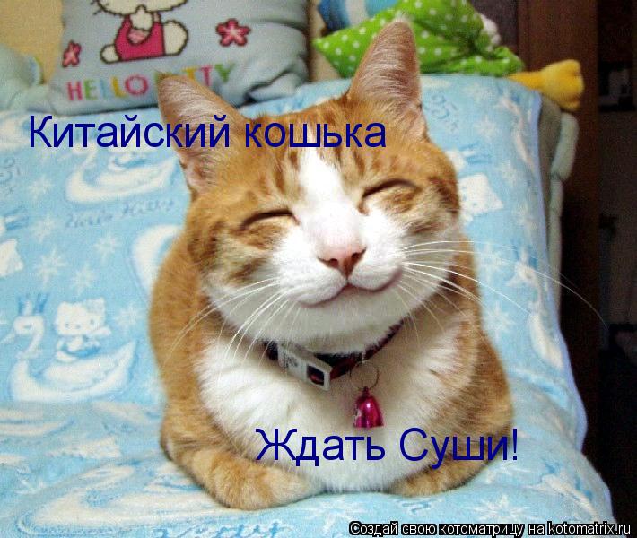 Котоматрица: Китайский кошька Ждать Суши!