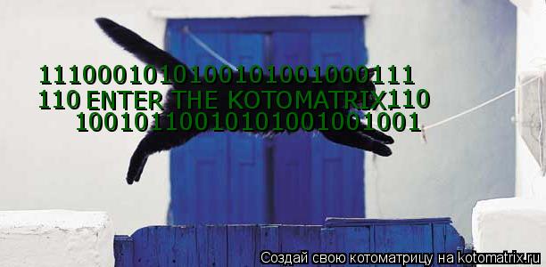 ENTER THE KOTOMATRIX. 10010110010101001001001 110 110 1110001010100101001000111... Котоматрица: ENTER THE KOTOMATRIX. 10010110010101001001001 110 110 1110001010100101001000111