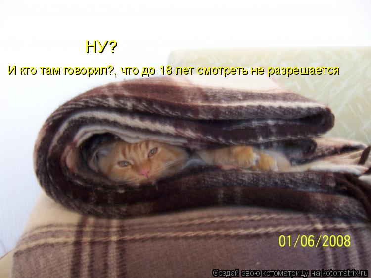 Котоматрица: НУ? И кто там говорил?, что до 18 лет смотреть не разрешается