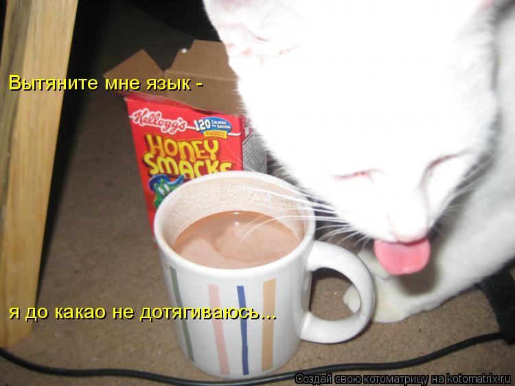 Котоматрица: Вытяните мне язык - я до какао не дотягиваюсь...