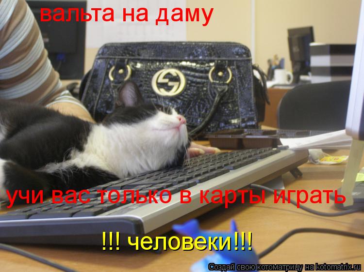 Котоматрица: вальта на даму учи вас только в карты играть  !!! человеки!!!