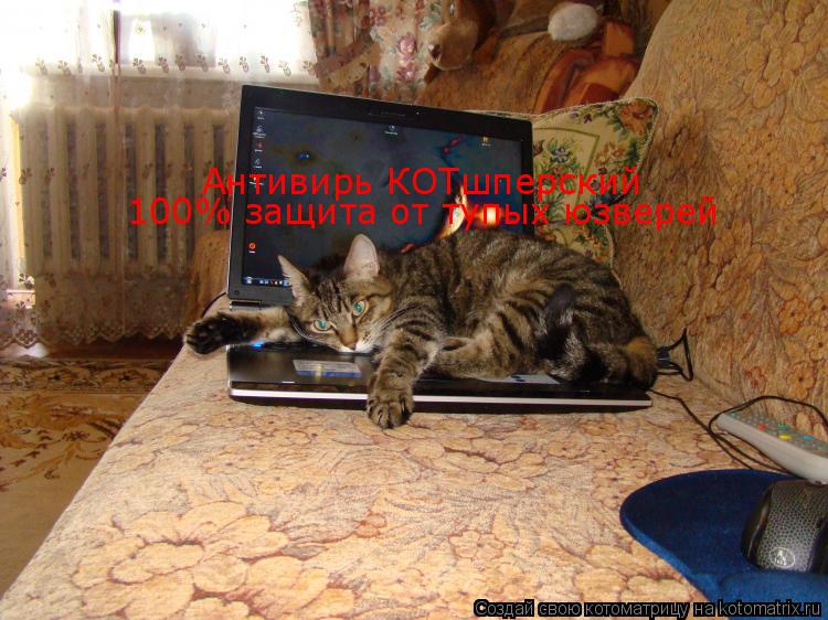 Котоматрица: Антивирь КОТшперский   100% защита от тупых юзверей
