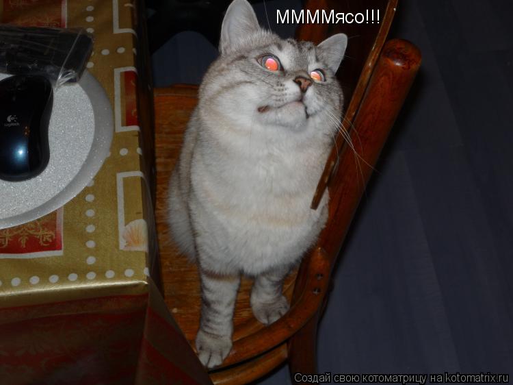Котоматрица: ММММясо!!!