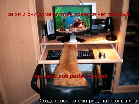 Котоматрица: хи хи и они думают,что я повелся нет там рыб три раза лоб разбить успел