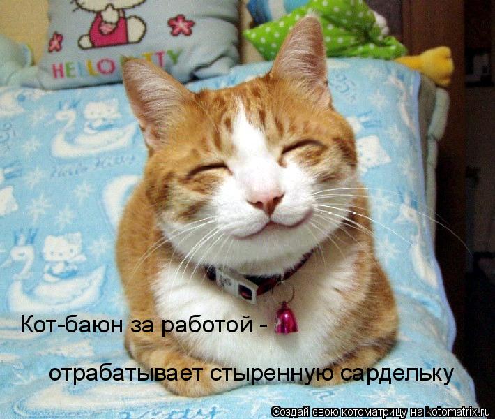 Котоматрица: Кот-баюн за работой -  отрабатывает стыренную сардельку