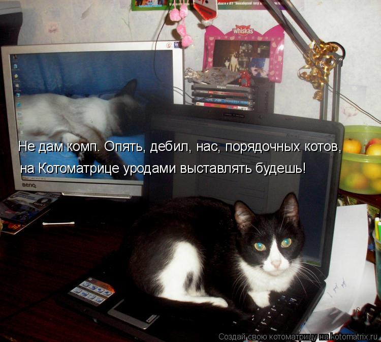 Котоматрица: Не дам комп. Опять, дебил, нас, порядочных котов, на Котоматрице уродами выставлять будешь!