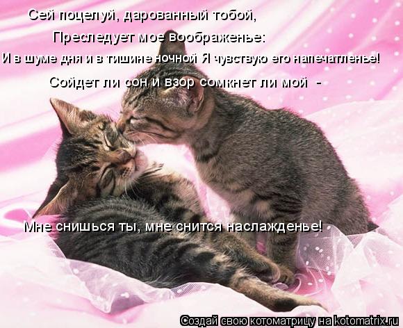 И в шуме дня и в тишине ночной Я чувствую его напечатленье! Сей поцелуй, дарованный тобой, Преследует... Котоматрица: И в шуме дня и в тишине ночной Я чувствую его напечатленье! Сей поцелуй, дарованный тобой, Преследует мое воображенье: Сойдет ли сон и взор с