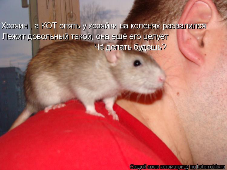 Котоматрица: Хозяин , а КОТ опять у хозяйки на коленях развалился Лежит довольный такой, она ещё его целует Чё делать будешь?