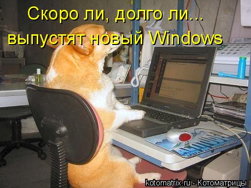 Котоматрица: Скоро ли, долго ли...  выпустят новый Windows