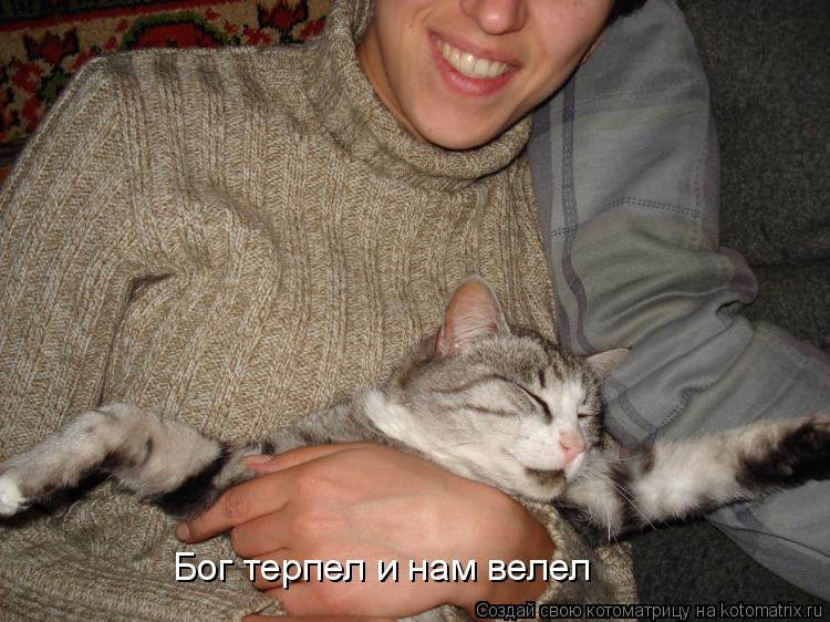 Котоматрица: Бог терпел и нам велел