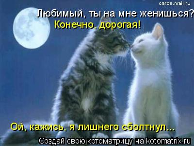 Котоматрица: Любимый, ты на мне женишься? Конечно, дорогая! Ой, кажись, я лишнего сболтнул...