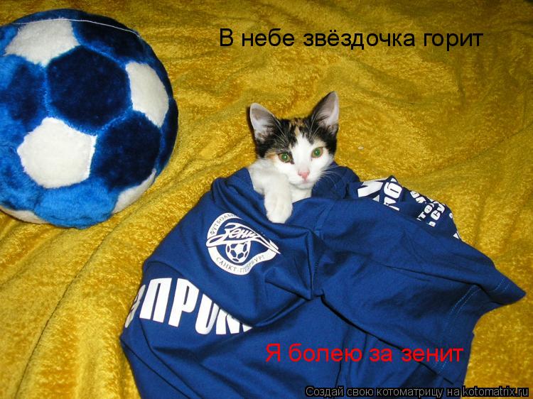 Котоматрица: В небе звёздочка горит  Я болею за зенит