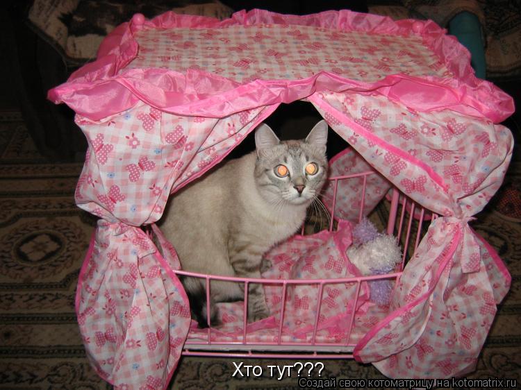 Хто тут???... Котоматрица: Хто тут???