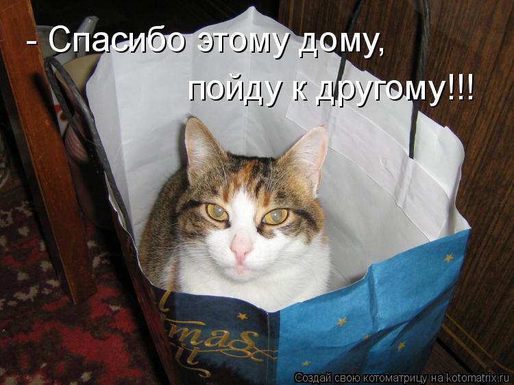- Спасибо этому дому, пойду к другому!!!... Котоматрица: - Спасибо этому дому, пойду к другому!!!
