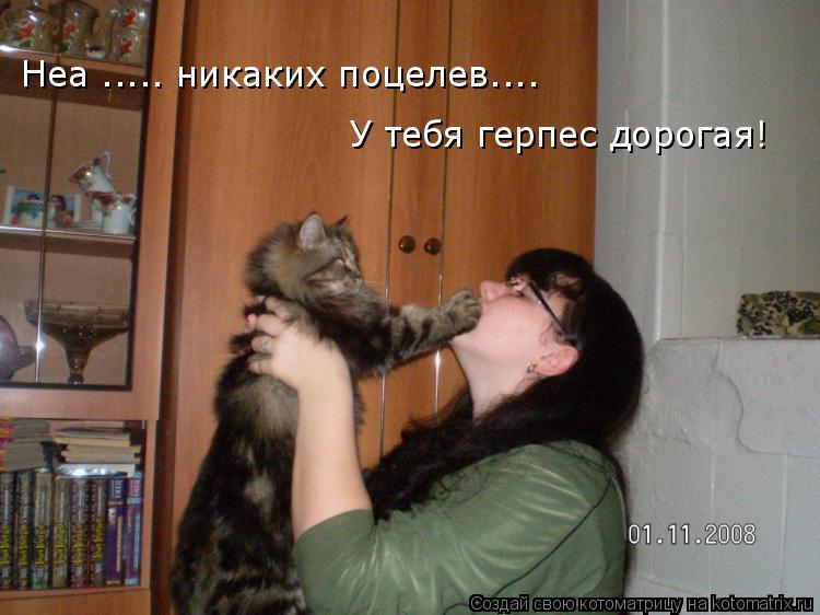 Котоматрица: Неа ..... никаких поцелев.... У тебя герпес дорогая!